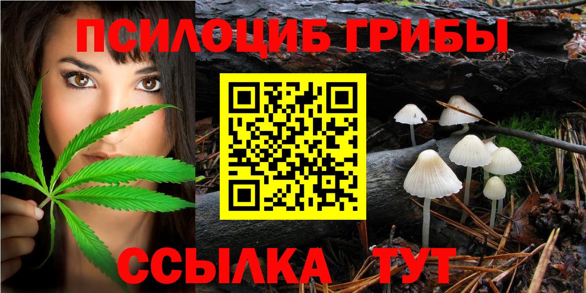 Галлюциногенные грибы GOLDEN TEACHER  Галлюциногенные грибы мицелий  Вход с VPN  Минеральные Воды 