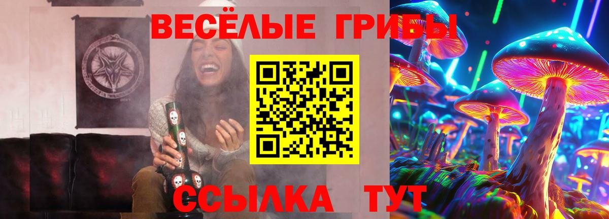 Псилоцибиновые грибы Cubensis Минеральные Воды